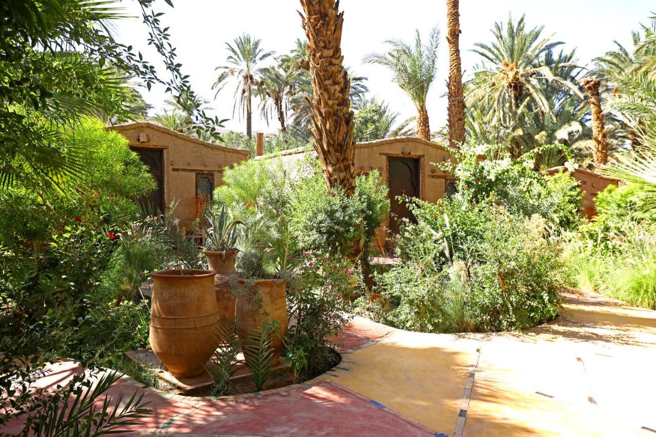 Ecolodge Bab El Oued Maroc Oasis Agdz Kültér fotó