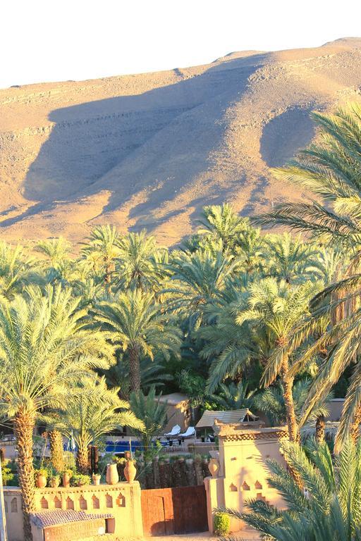 Ecolodge Bab El Oued Maroc Oasis Agdz Kültér fotó