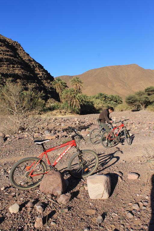 Ecolodge Bab El Oued Maroc Oasis Agdz Kültér fotó