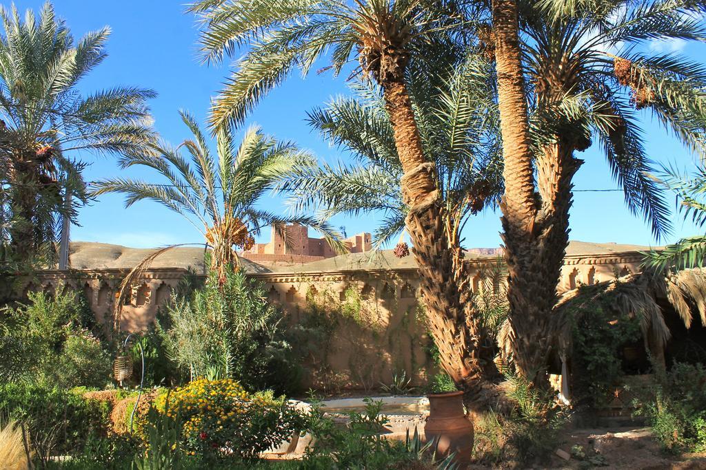 Ecolodge Bab El Oued Maroc Oasis Agdz Kültér fotó