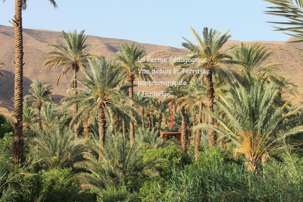 Ecolodge Bab El Oued Maroc Oasis Agdz Kültér fotó