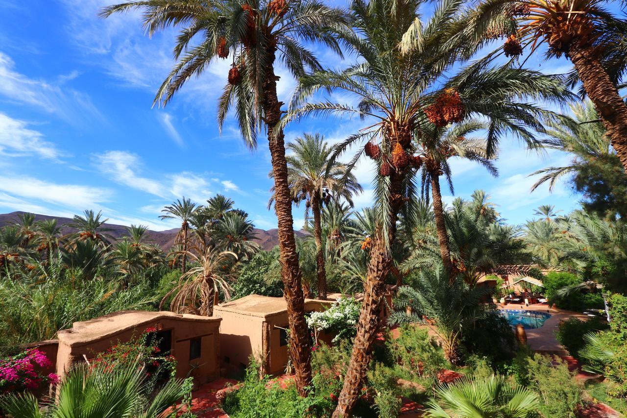 Ecolodge Bab El Oued Maroc Oasis Agdz Kültér fotó
