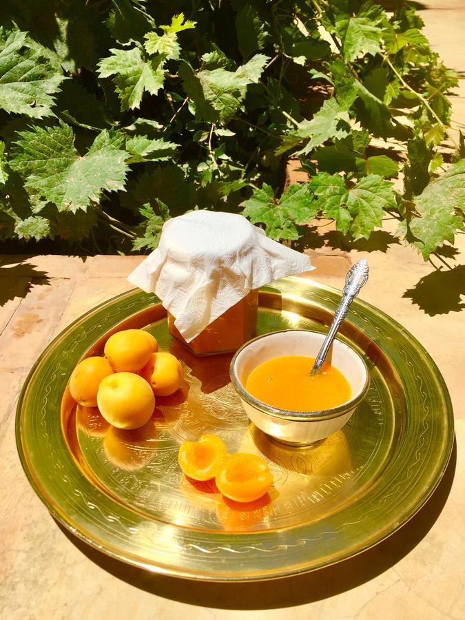 Ecolodge Bab El Oued Maroc Oasis Agdz Kültér fotó