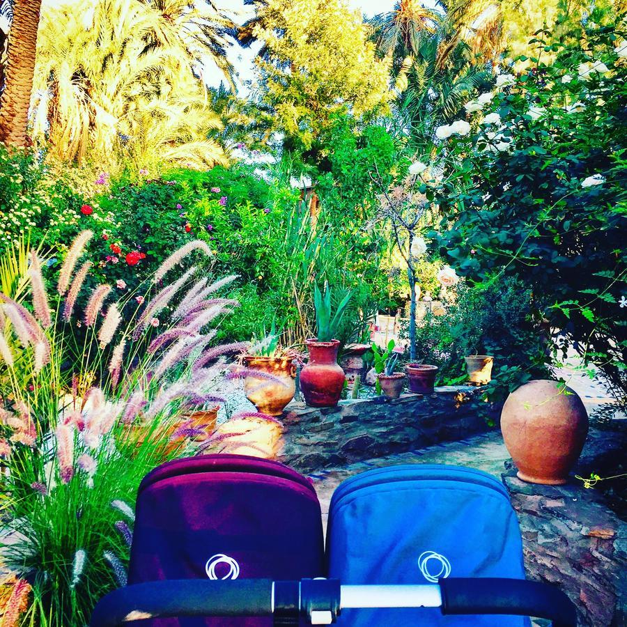 Ecolodge Bab El Oued Maroc Oasis Agdz Kültér fotó